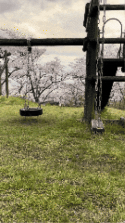Duck GIF