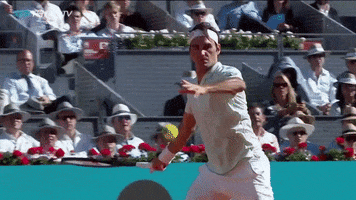 sport spain GIF by Tennis TV