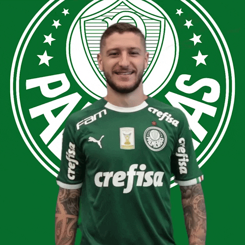 Palmeiras soccer clap high five futebol GIF