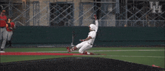 University Of Houston Slide GIF by Coogfans