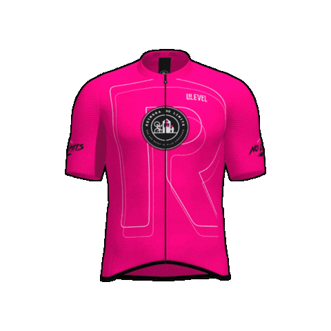 No Limits Pink Sticker by ReinosaNoLimits