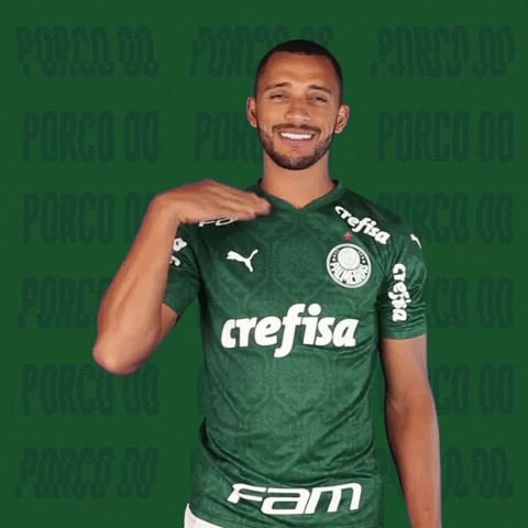 Vitor Hugo Puma GIF by SE Palmeiras