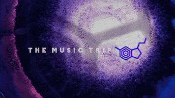 The Music Trip GIF