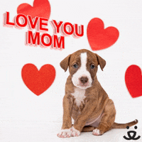 Mothers Day Love Gif By Ampm Find Share On Giphy Mothers Day Love Gif By Ampm Find Share On Giphy