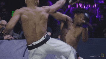 sport mma GIF by Karate Combat