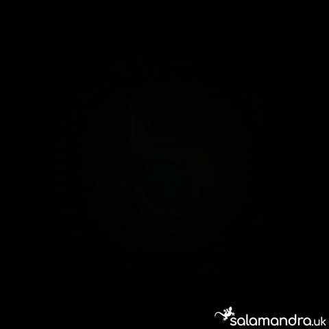 5Th Birthday GIF by SalamandraUK