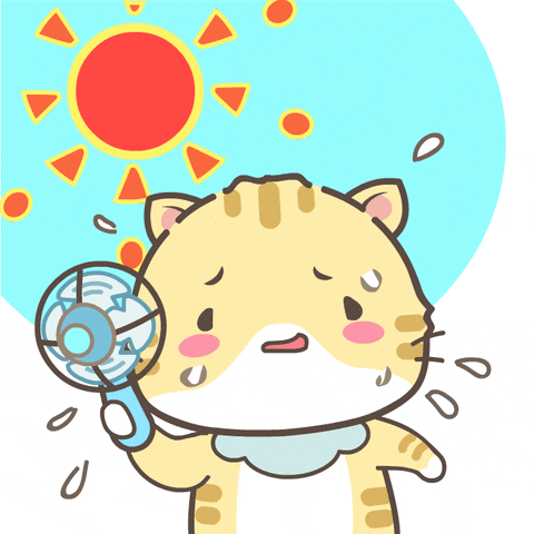 Heat Wave Cat GIF by catgrass