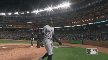 New York Yankees Hug GIF by MLB
