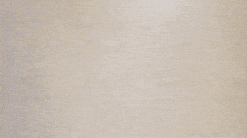 GIF by stumedia