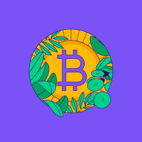 Crypto Bitcoin GIF by Paxful