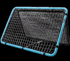 Fortitude Hockey GIF