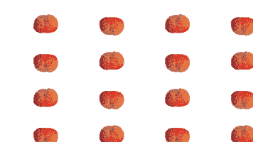 Denigro Sticker