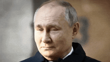 Vladimir Putin Russia GIF