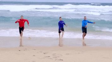 Happy The Beach GIF by The Wiggles
