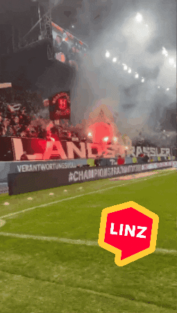 Sport Bundesliga GIF by Linz News
