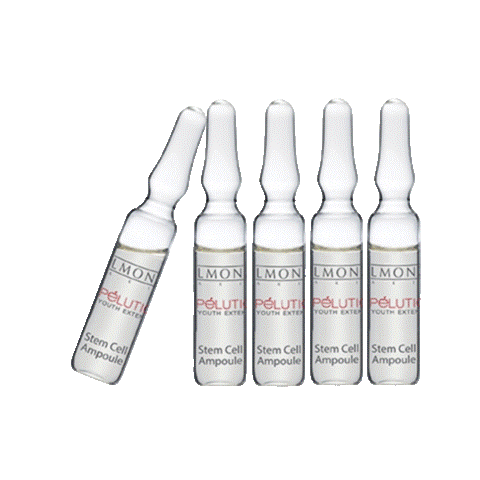 Celmonze The Signature Sticker