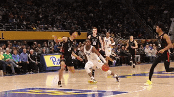 Excited College Sports GIF by Pitt Panthers