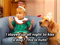 New Year Nye GIF by Digg - Find & Share on GIPHY