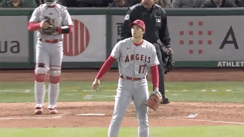 Shocked Baseball GIF