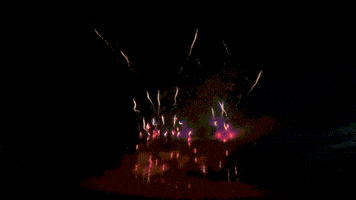 Firework GIF by Pyroland