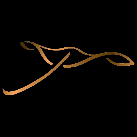 Nautitech Catamarans GIF