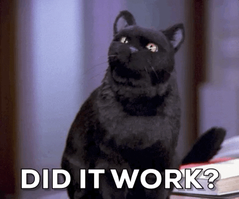 Giphy - Season 4 Cat GIF by Paramount+