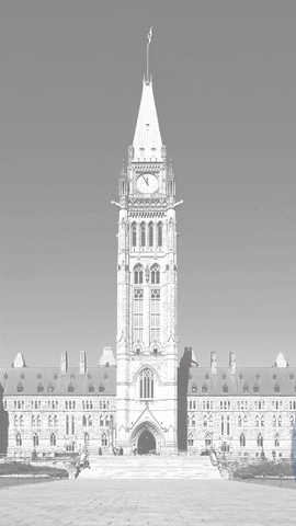Equal Voice GIF