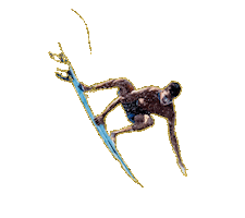 Pro Surf Sticker by Nauti Bean Coffee