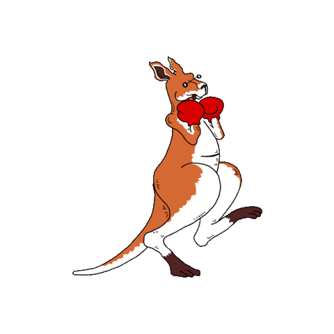 Punch Boxing Sticker by The Peter’s Brand