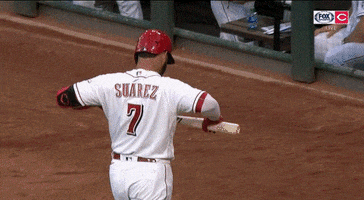 Baseball GIF