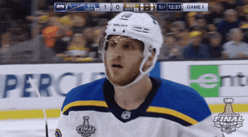 celebrate 2019 stanley cup finals GIF by NHL