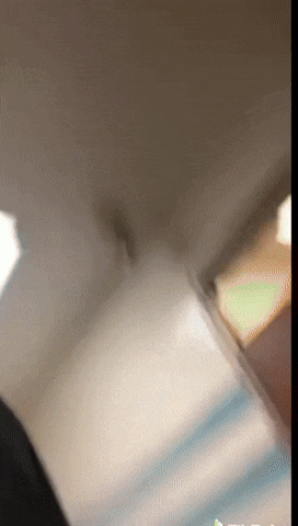 Fnaf Dance GIF