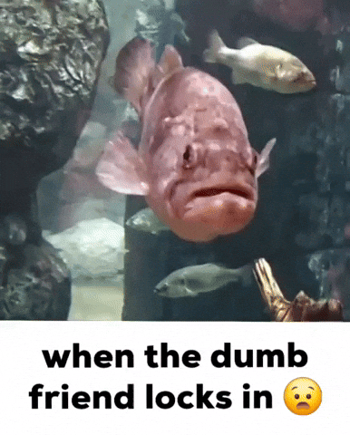 When The Dumb Friend Locks In GIF