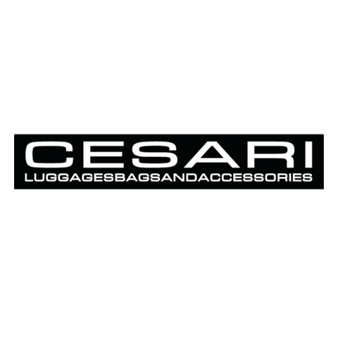 Cesari Pelletterie Sticker