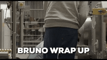 wrap up sleeping GIF by Bruno