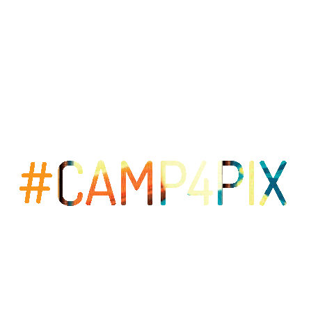 Camp4Collective Sticker