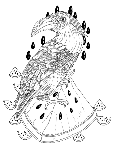 Animated Sticker