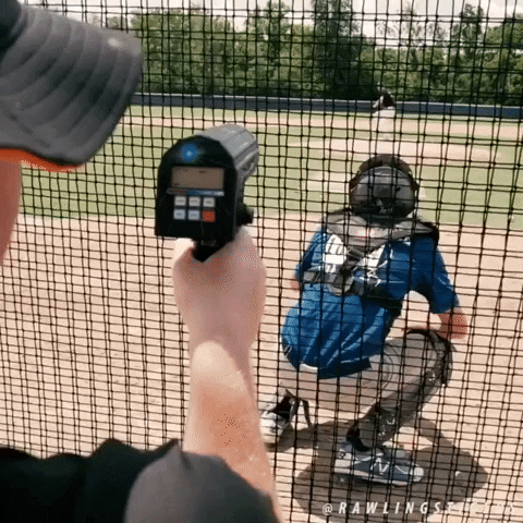 rawlingstigers baseball speed meat radar GIF