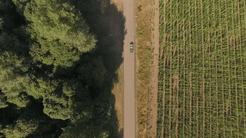Drone Truck GIF by Rogue Ales & Spirits