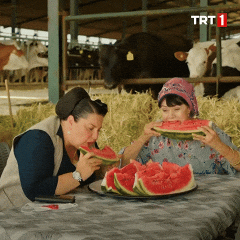 Giphy - Hungry Best Friend GIF by TRT