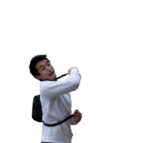 TRAVEL DUDE Sticker