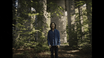 Trees Lie GIF by Lukas Graham