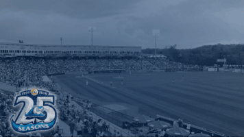 Strikeout Elvin Rodriguez GIF by West Michigan Whitecaps 
