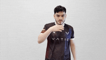 Vatic GIF