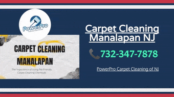 Carpet Cleaning Near Manalapan Nj GIF