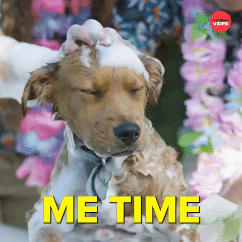 Dogs Self Care GIF by BuzzFeed