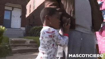 Perro Pitbull GIF