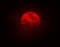 Aesthetic Red Gifs Get The Best Gif On Giphy
