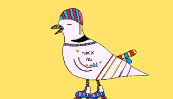 Dovemania! GIF