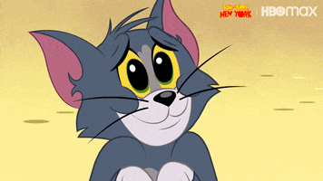 Begging Tom And Jerry GIF by HBO Max